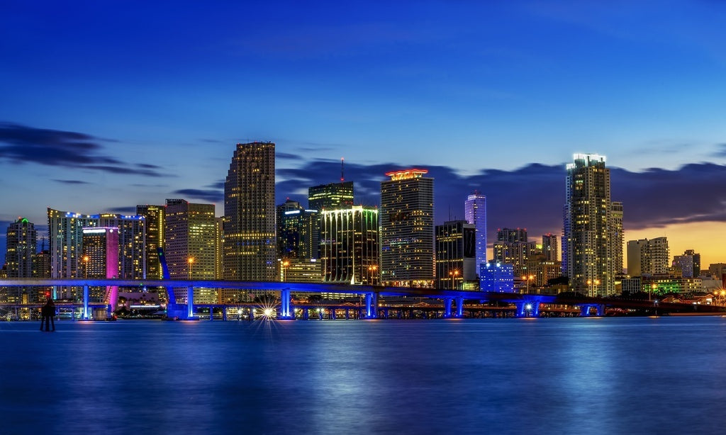 Glass Wall Art 60"x36" Miami City Night